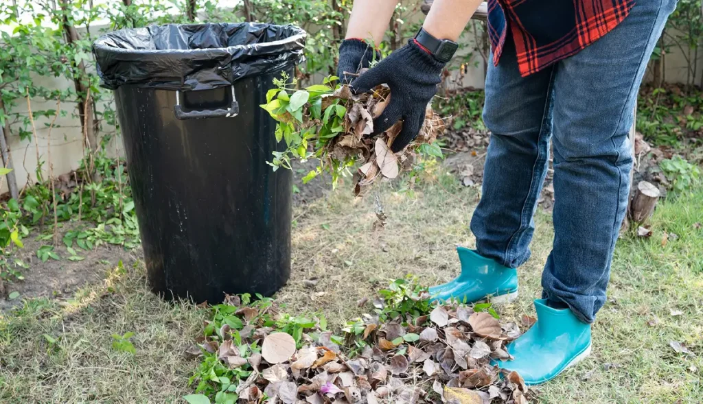 Gartenabfälle entsorgen