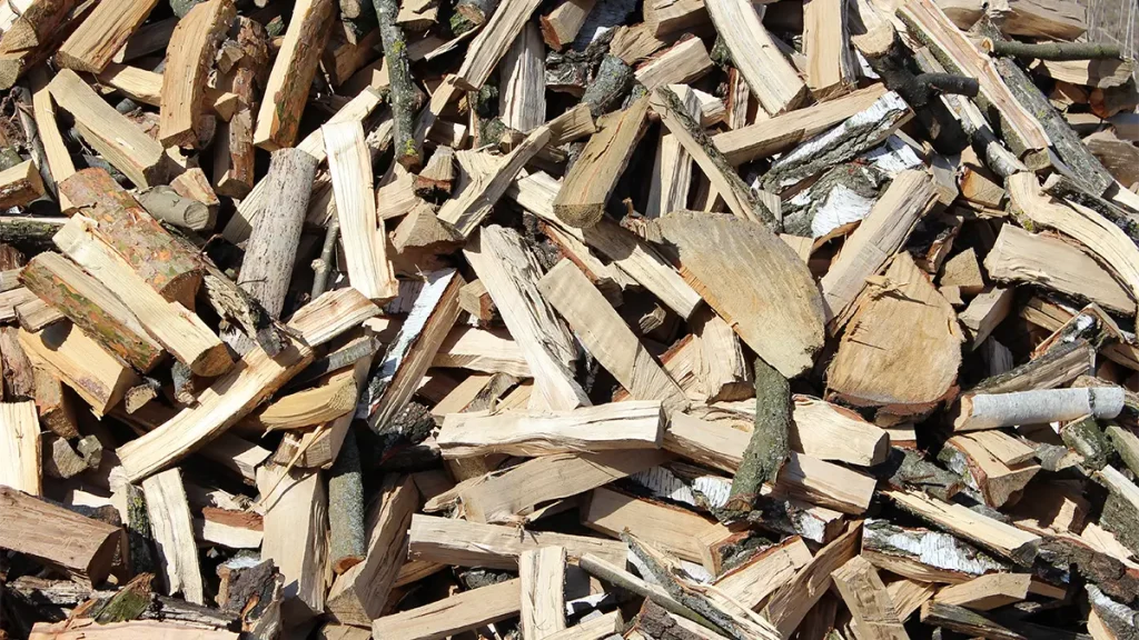 Holz entsorgung