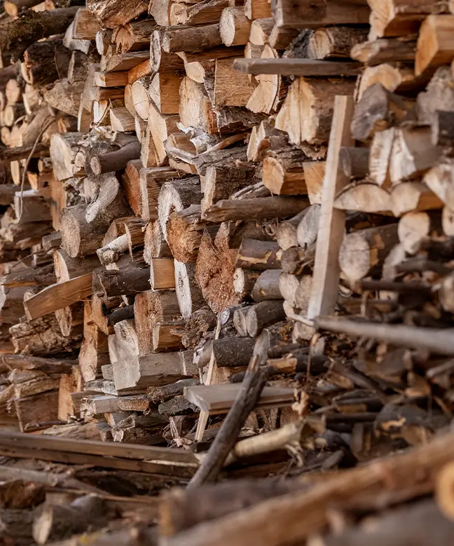 Holz entsorgung Berlin