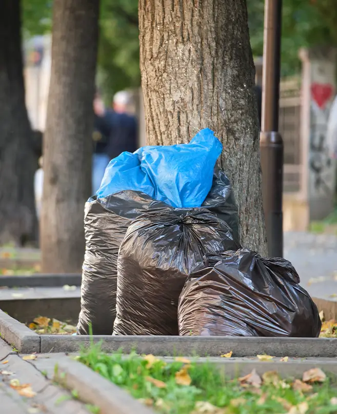 Röntgenbilder Berlin
